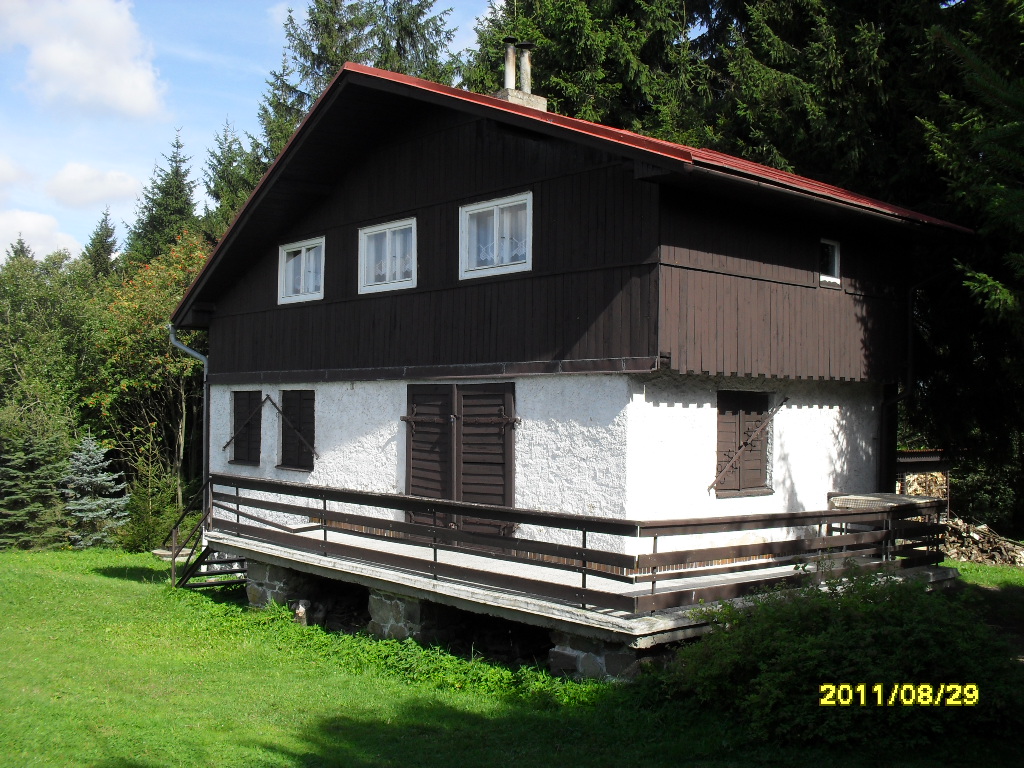 SDC12431
